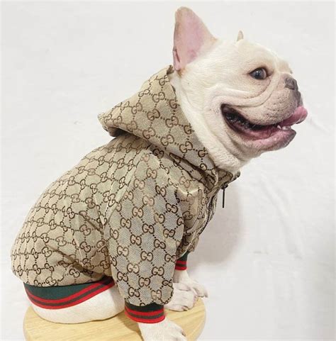 Gucci dog coats